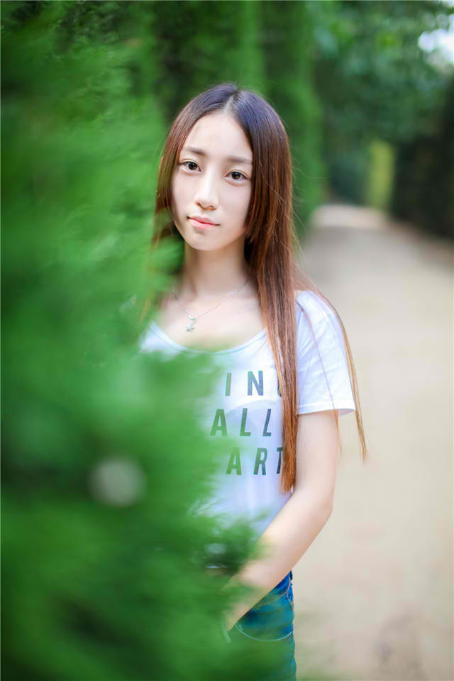 叶问 电影